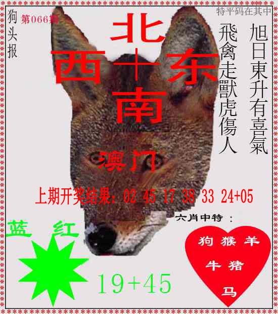 066期狗头报[图]