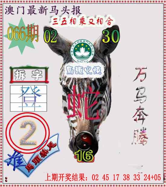 066期马头报[图]