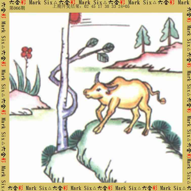 066期藏宝图[图]