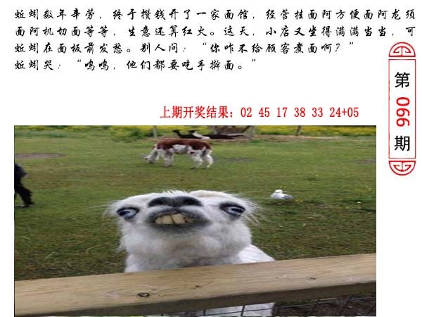 066期澳门生活幽默[图]