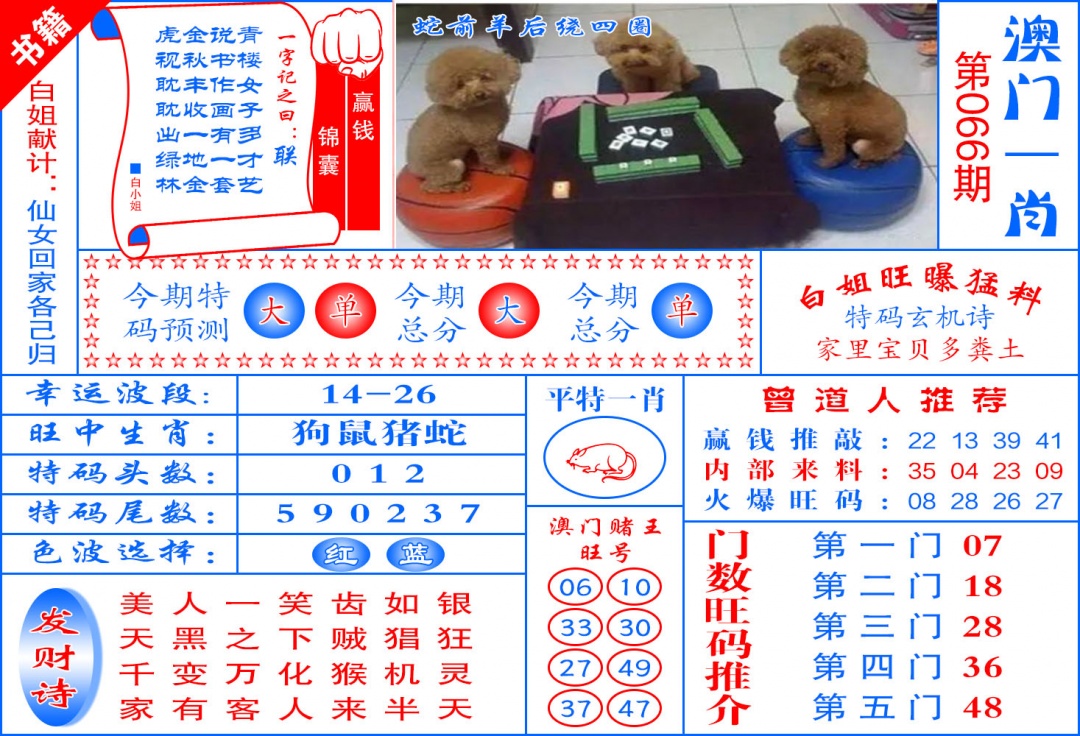 066期澳门东北虎[图]