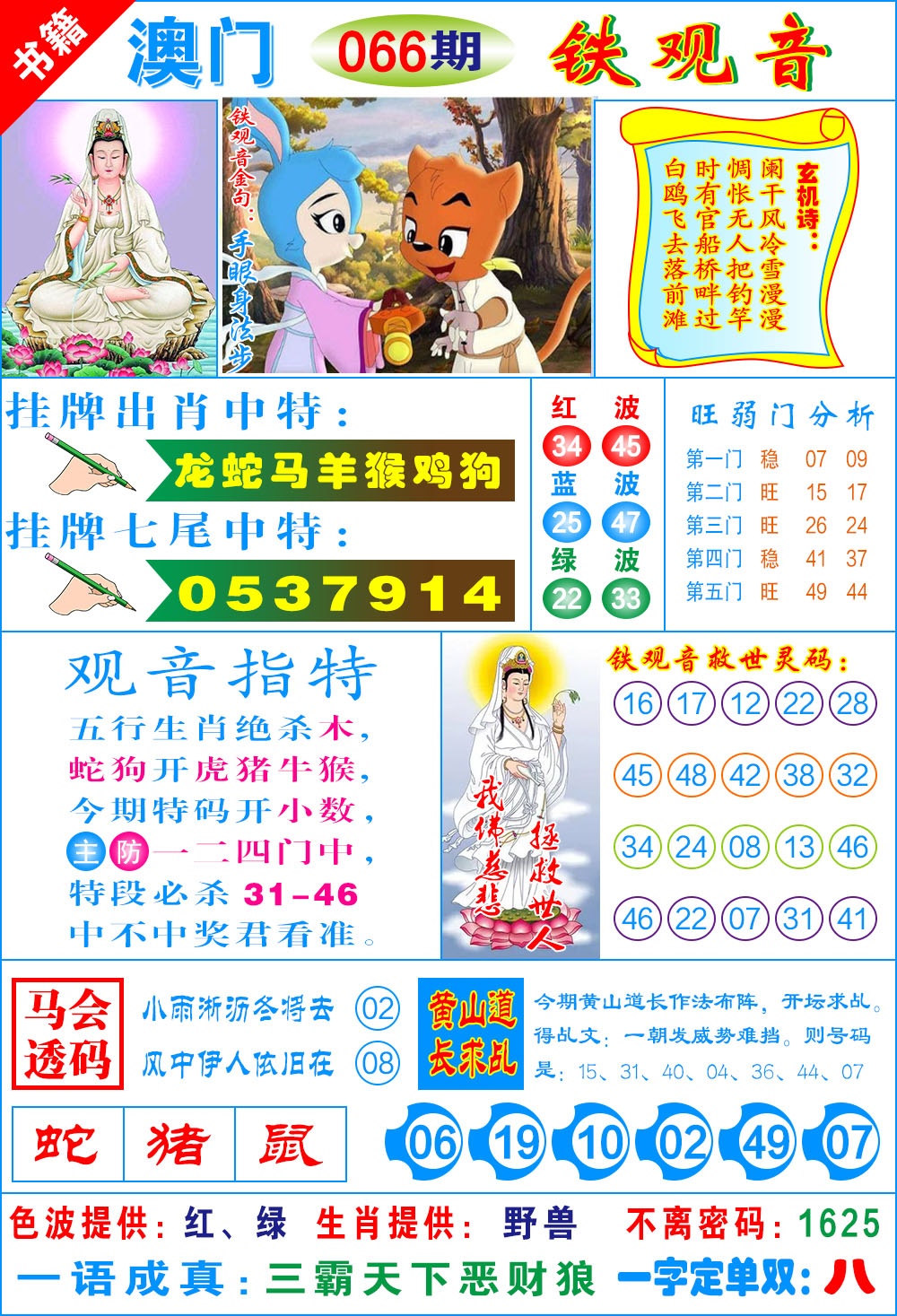 066期澳门铁观音[图]