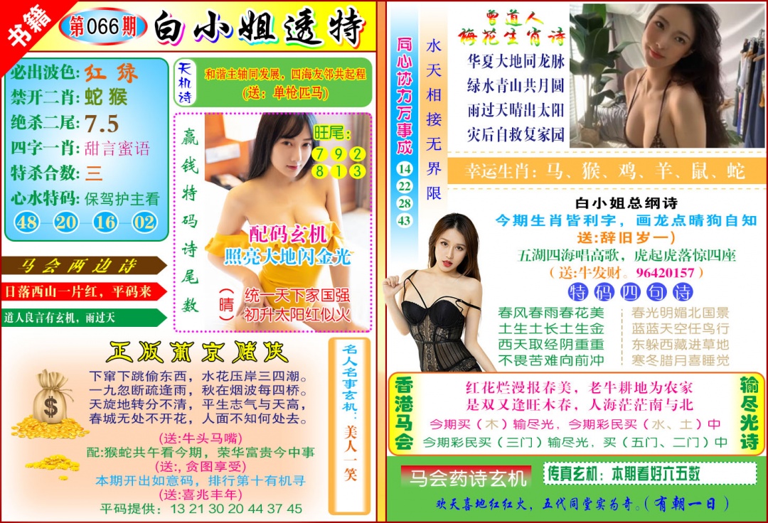 066期澳门白小姐透特[图]