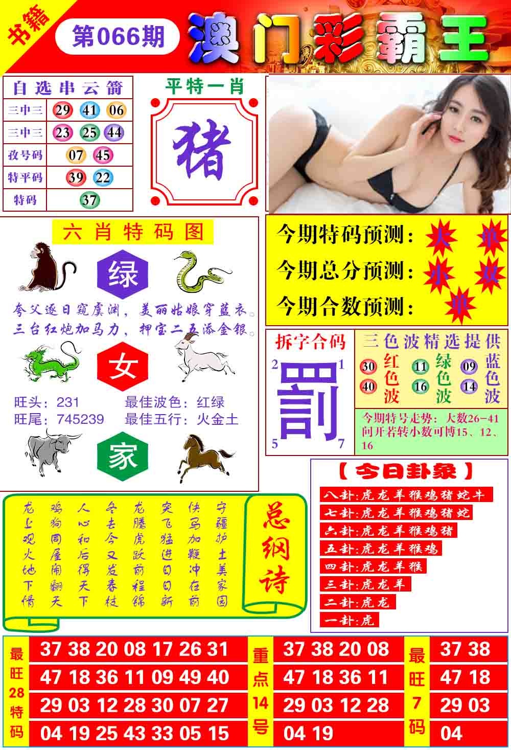 066期澳门彩霸王[图]
