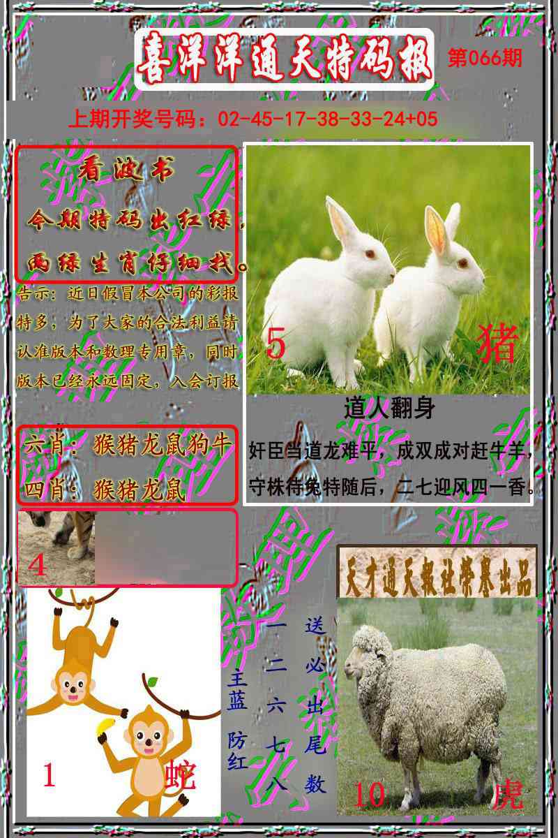 066期洋通报[图]