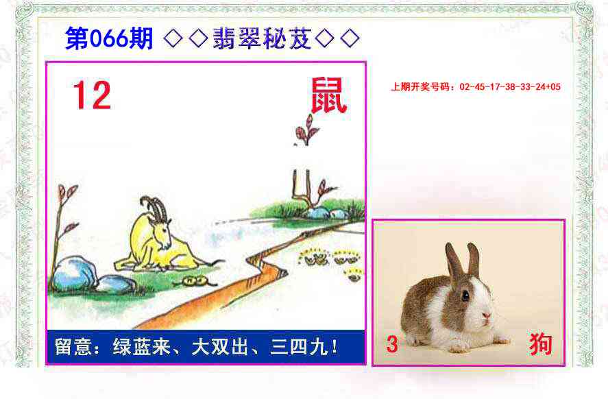 066期翡翠报[图]