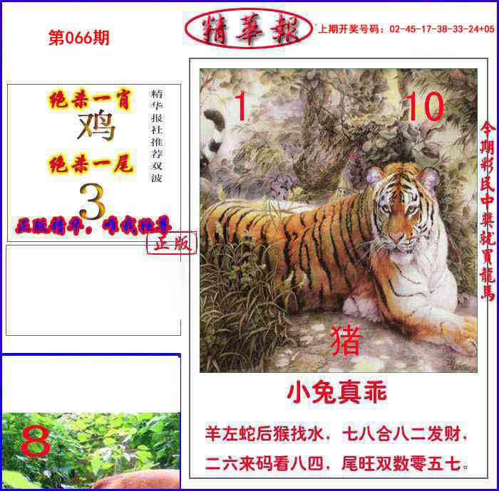 066期新精华报报[图]