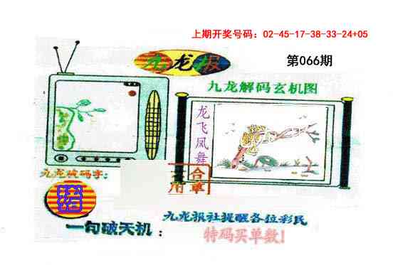 066期九龙报[图]
