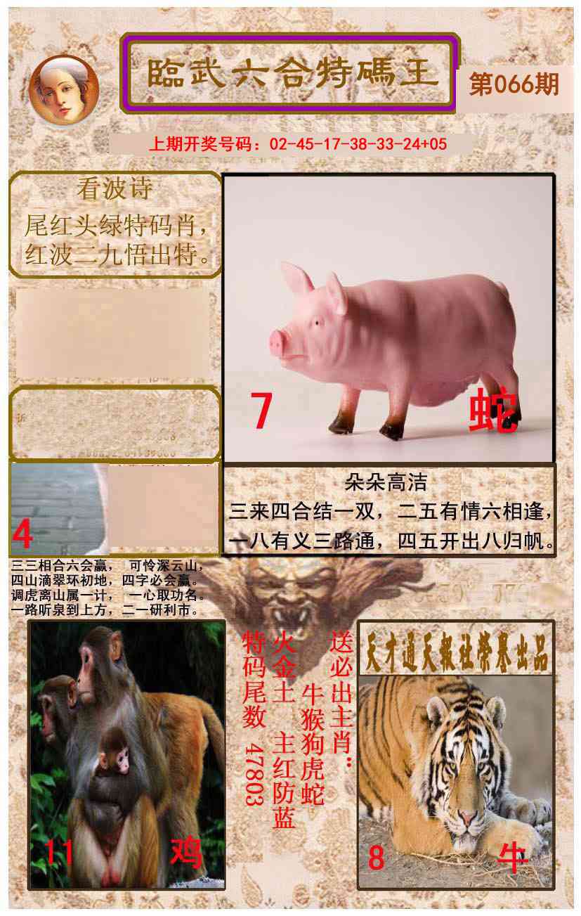 066期临武六合特码王[图]