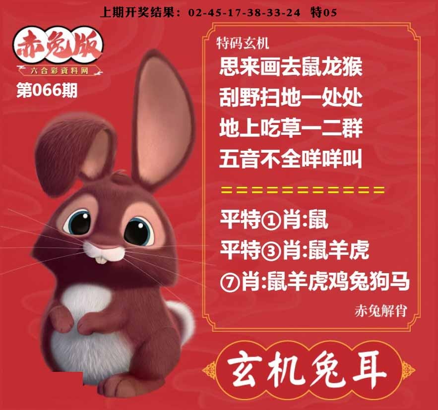 066期玄机兔耳[图]