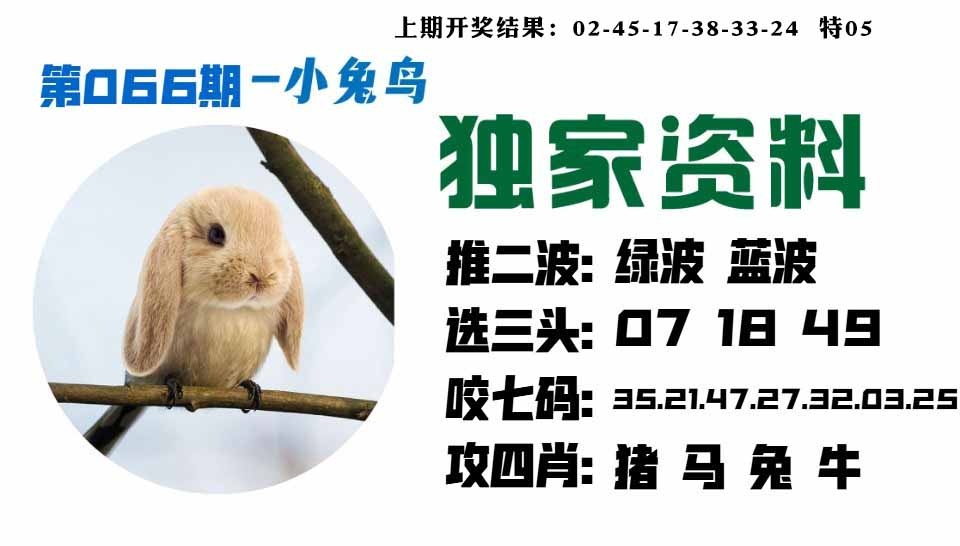 066期小兔鸟[图]